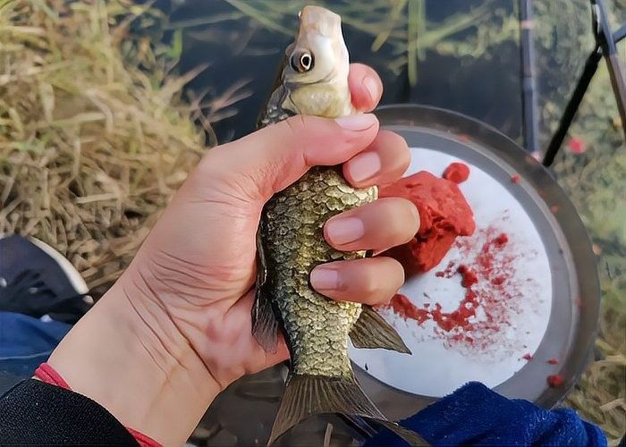 如何處理小魚的殘餌？（如何處理小魚的殘餌）