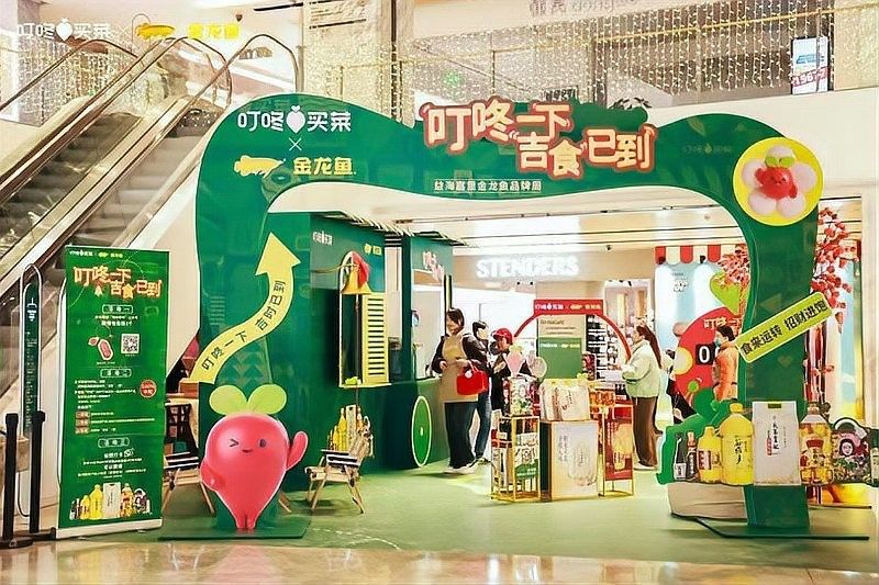 金龍魚在電商渠道的具體表現如何（金龍魚全渠道戰略:開啟糧油行業增長新密碼）