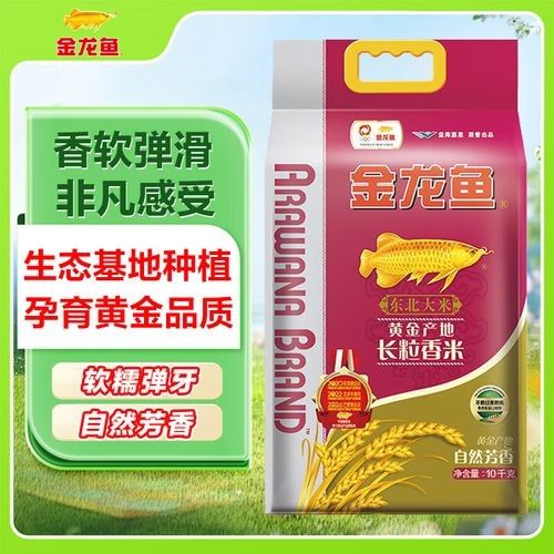 白城金龍魚有哪些產品（白城金龍魚主要產品）