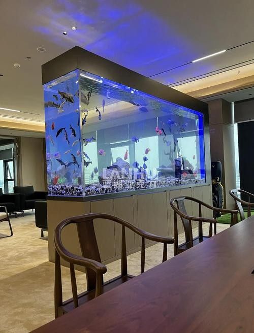 如何聯系專業定做魚缸的服務商（北京地區專業定做魚缸服務商的聯系方式）