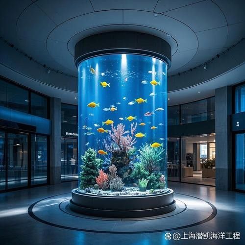 如何聯系專業定做魚缸的服務商（北京地區專業定做魚缸服務商的聯系方式）