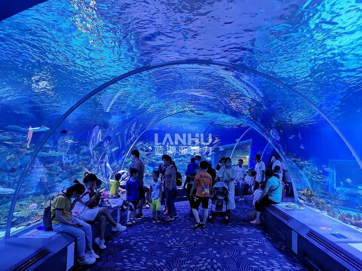 如何聯系專業定做魚缸的服務商（北京地區專業定做魚缸服務商的聯系方式）