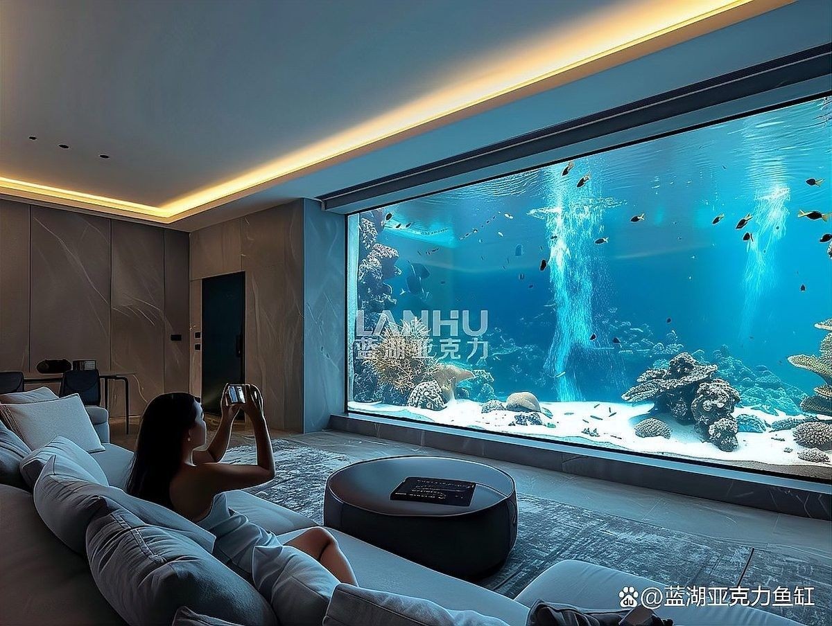如何聯系專業定做魚缸的服務商（北京地區專業定做魚缸服務商的聯系方式）