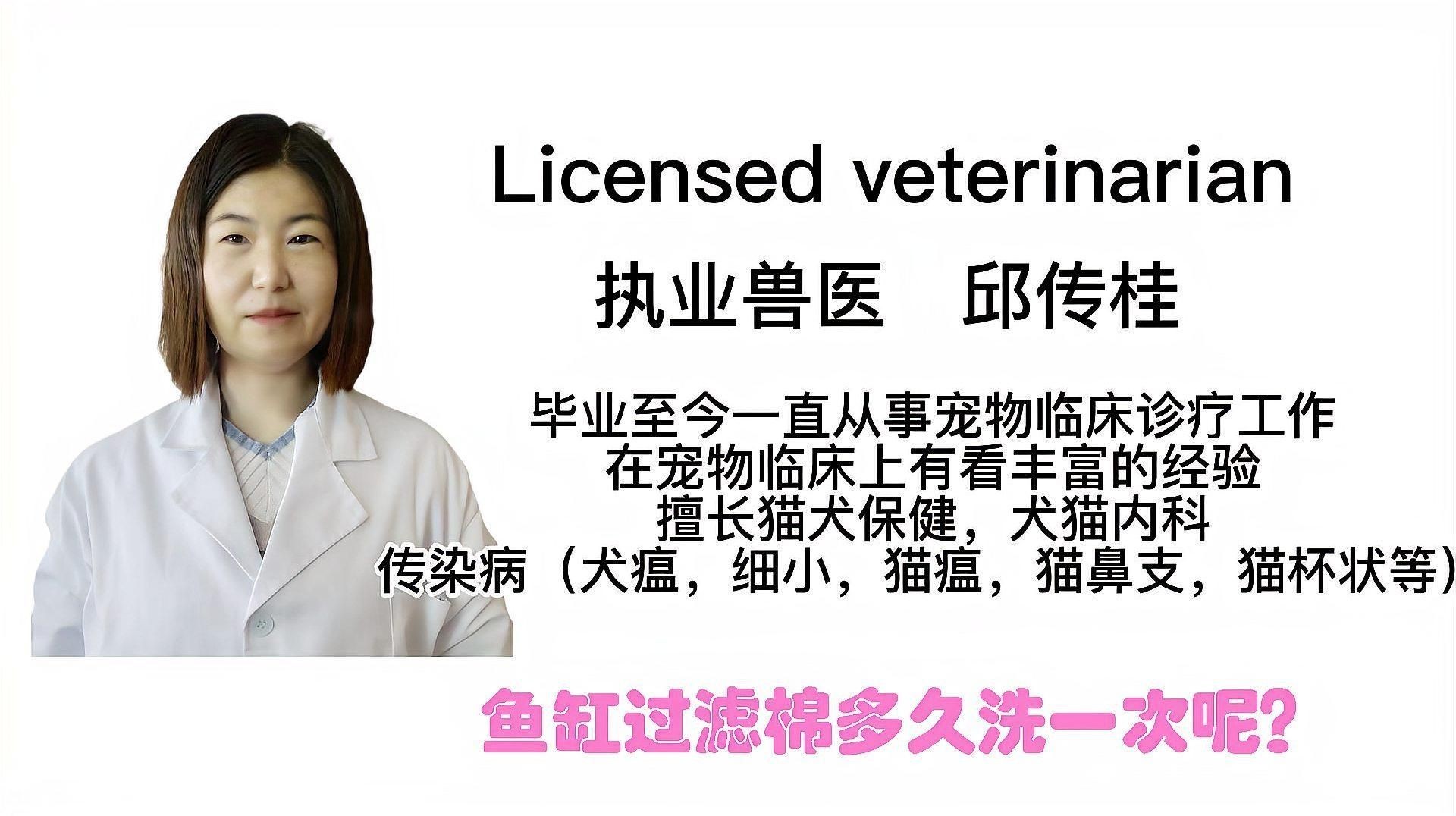 龍魚缸過濾棉多久用原水洗一次？（魚缸濾材清洗頻率大揭秘） 龍魚缸過濾棉多久用原水洗一次？（魚缸濾材清洗頻率大揭秘） 觀賞魚百科