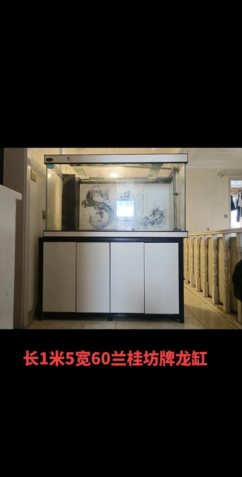 龍魚缸的最佳尺寸圖（龍魚缸最佳尺寸）
