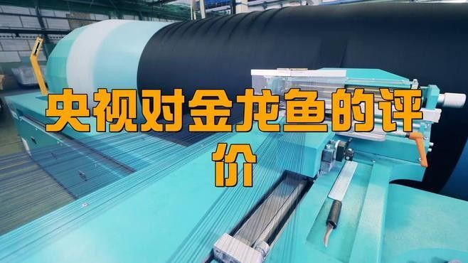 江山金龍魚（江山金龍魚是哪個品牌？）