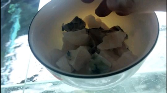 一波喂食（一波喂食的概念）