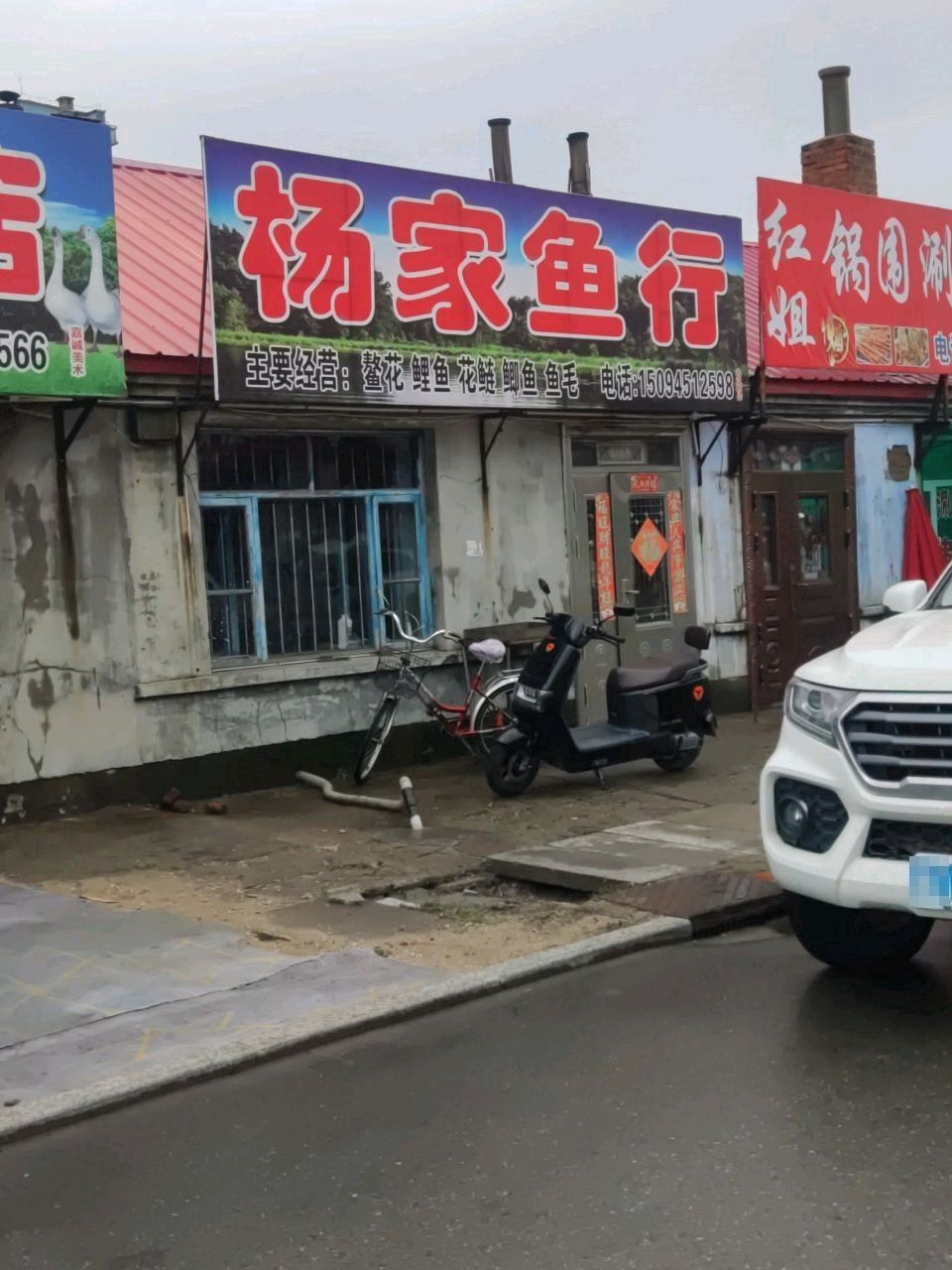 綏濱縣鳳龍魚行地址在哪里？（關(guān)于綏濱縣鳳龍魚行地址查詢）