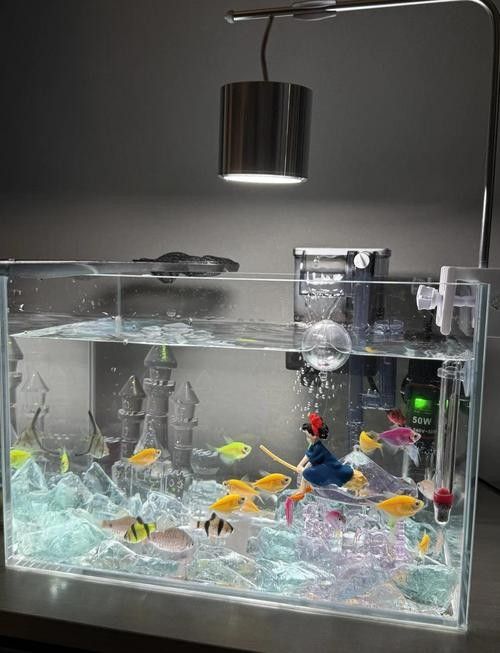 如何穩定龍魚缸的水溫？（龍魚缸水溫多久穩定下來）