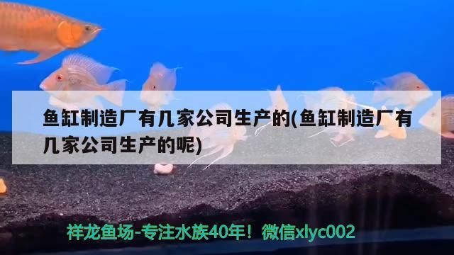 魚缸制造廠有幾家公司生產(chǎn)的(魚缸制造廠有幾家公司生產(chǎn)的呢)（森森水族箱制造廠）