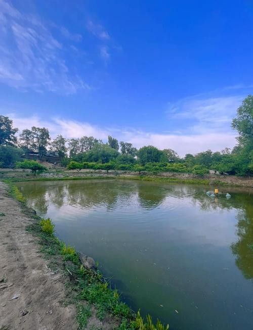龍魚垂釣園的收費標準(龍魚垂釣園收費標準) 龍魚百科 第1張 龍魚垂釣園的收費標準(龍魚垂釣園收費標準) 龍魚垂釣園的收費標準(龍魚垂釣園收費標準) 龍魚百科 第1張