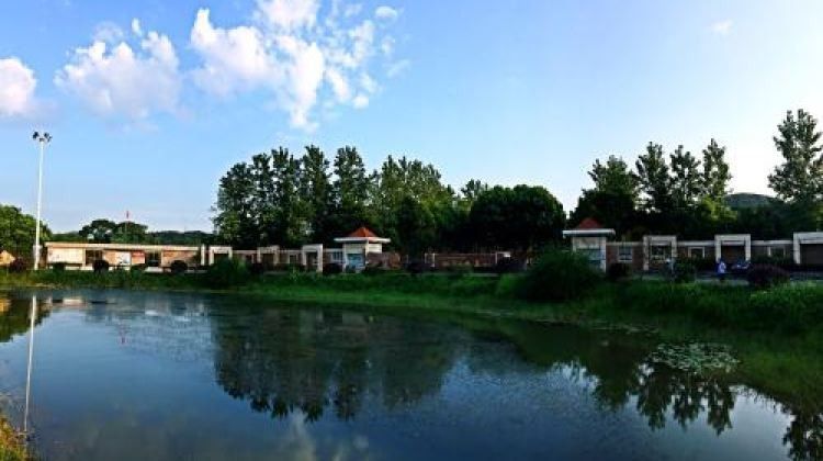 龍魚垂釣園的收費標準（龍魚垂釣園收費標準） 龍魚垂釣園的收費標準（龍魚垂釣園收費標準） 龍魚百科 第7張