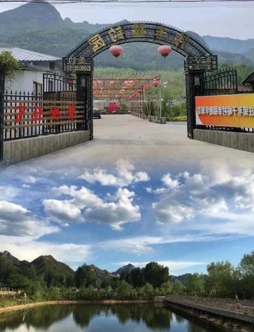 龍魚垂釣園的收費標準(龍魚垂釣園收費標準) 龍魚百科 第3張 龍魚垂釣園的收費標準(龍魚垂釣園收費標準) 龍魚垂釣園的收費標準(龍魚垂釣園收費標準) 龍魚百科 第3張