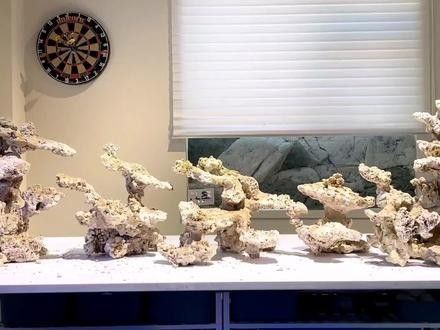 鑫海龍魚缸有哪些型號？（鑫海龍魚缸哪個型號適合新手）