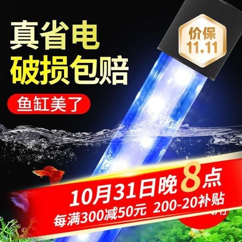 龍魚(yú)燈什么品牌好？（龍魚(yú)燈品牌及其特點(diǎn)：**金龍魚(yú)*）