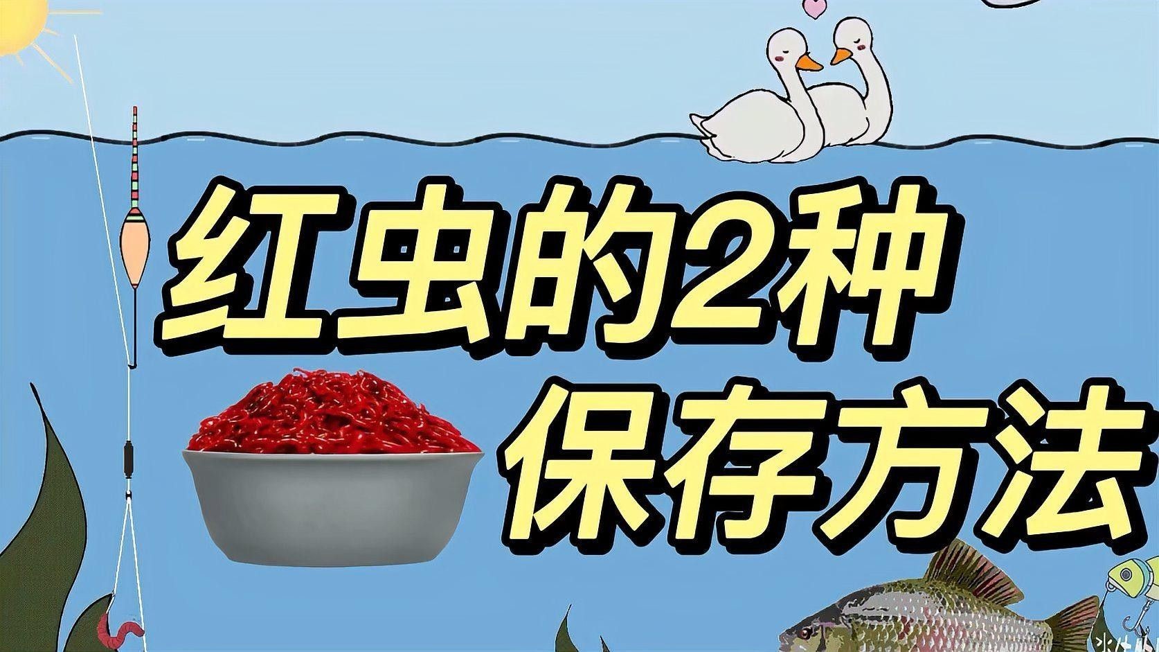 如何處理和保存紅蟲？（冬季釣鯽魚紅蟲不宜存活，建議試試這3個保存方法，輕松搞定）