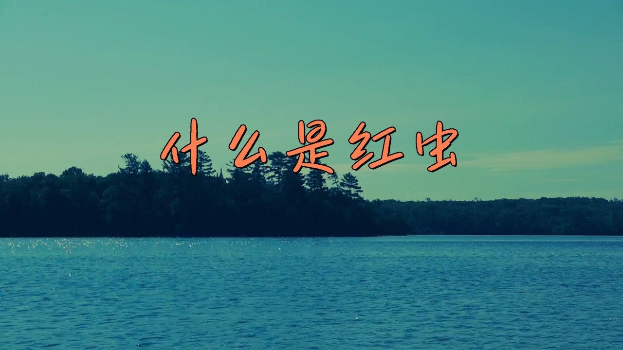 如何處理和保存紅蟲？（冬季釣鯽魚紅蟲不宜存活，建議試試這3個保存方法，輕松搞定）