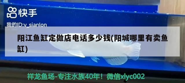 陽江魚缸定做店電話多少錢(陽城哪里有賣魚缸)（陽江魚缸定做店電話多少錢）