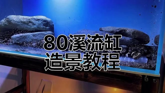 80的缸能養什么魚（0升的魚缸可以養殖多種魚類）