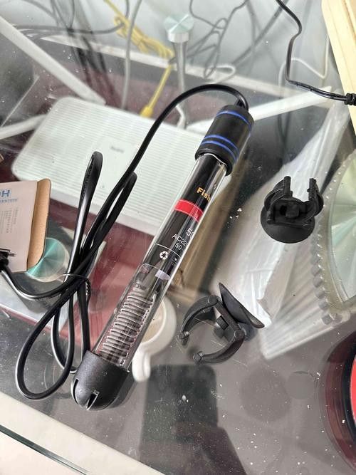 龍魚晚上關燈后多久會適應，如何判斷龍魚是否適應了黑暗環境？