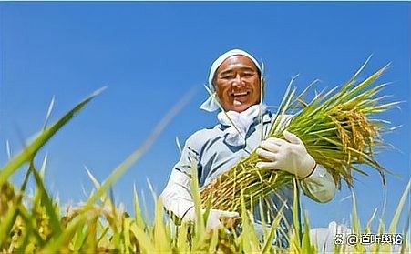 金龍魚如何確保農戶履約？（江南時報聽，金龍魚如何定義合格農產品）