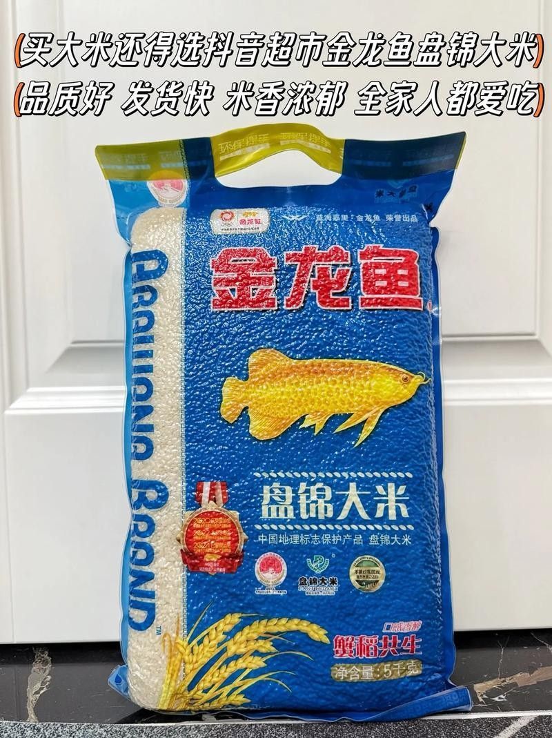 金龍魚的食物有哪些（金龍魚吃什么最好）