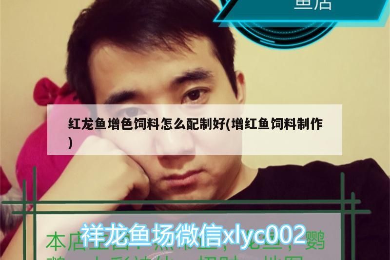 魚缸用增氧泵價格是多少:魚缸增氧機-xtrac增氧機-xtrac增氧機 紅龍魚增色飼料怎么配制好(增紅魚飼料制作)(關于紅龍魚增色飼料怎么配制好) 觀賞魚百科 紅龍魚增色飼料怎么配制好(增紅魚飼料制作)(關于紅龍魚增色飼料怎么配制好) 紅龍魚增色飼料怎么配制好(增紅魚飼料制作)(關于紅龍魚增色飼料怎么配制好) 觀賞魚百科