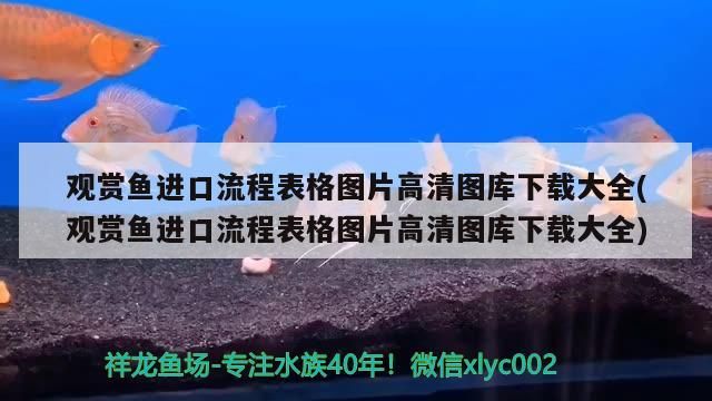 生態(tài)魚缸選擇哪個(gè)牌子的魚缸性價(jià)比高，2020年度中國(guó)生態(tài)魚缸行業(yè)十大品牌品牌榜單第一名