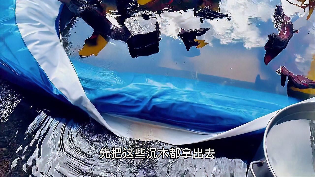 龍魚缸沉木如何消毒