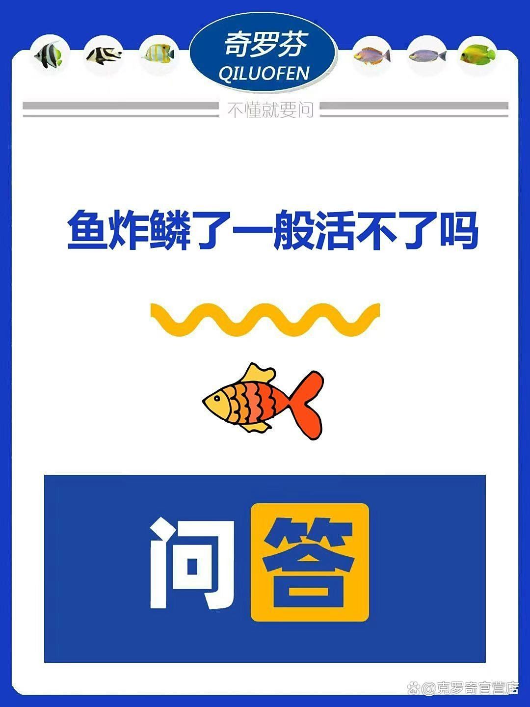 龍魚鰓蓋脫落會死嗎？（龍魚鰓蓋脫落怎么辦）