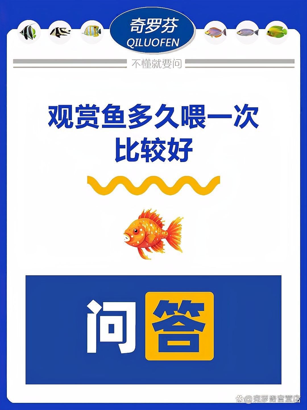 孔雀龍魚(yú)多久喂一次合適（孔雀魚(yú)喂食頻率指南）