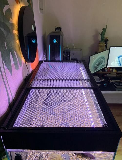 雷龍魚缸蓋子需要多大？（雷龍魚缸蓋子尺寸）