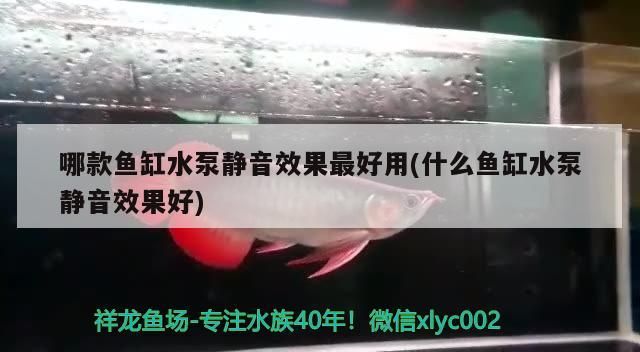 哪款魚缸水泵靜音效果最好用(什么魚缸水泵靜音效果好)（哪款水泵靜音效果最好用）