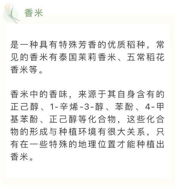 如何辨別金龍魚軟香米真偽