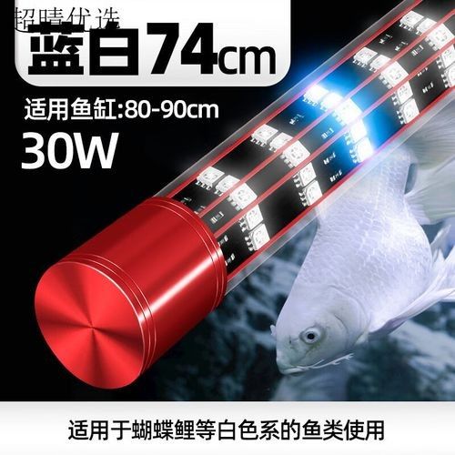 巴卡雷龍的價格波動大嗎？（巴卡雷龍化石的價格波動）