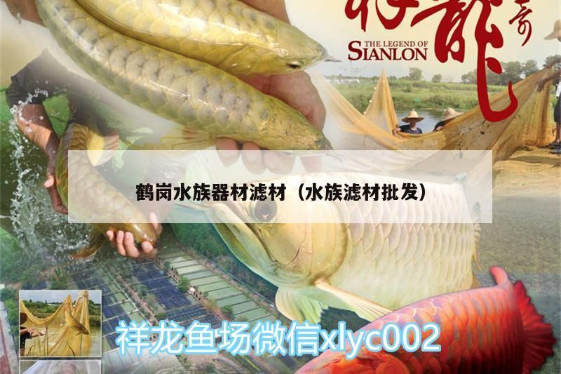 鶴崗<strong><mark>水族器材</mark></strong>濾材（水族濾材批發(fā)）（鶴崗<strong><mark>水族器材</mark></strong>濾材批發(fā)）