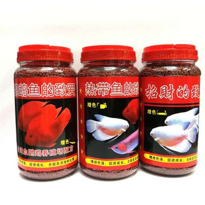紅龍魚吃什么蝦最好吃（紅龍魚吃什么蝦最好吃呢）（紅龍魚吃什么蝦最好吃）
