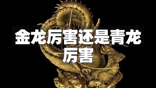 如何區分B過金龍魚和青龍魚？（青龍魚與點金龍魚的區別）