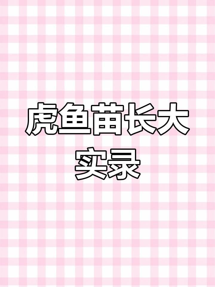 印尼虎魚苗好養(yǎng)嗎（印尼虎魚苗的養(yǎng)護(hù)方法是什么，印尼虎魚苗的養(yǎng)護(hù)難度）
