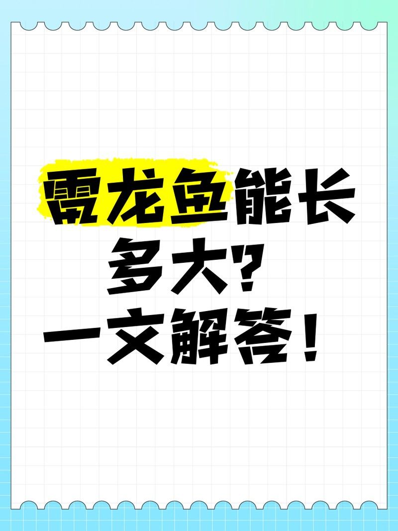 鬼王雷龍魚能長多大（雷龍魚大全之常見中型雷龍篇）