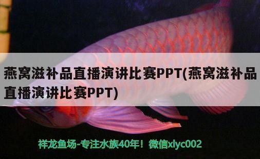 燕窩滋補(bǔ)品直播演講比賽PPT(燕窩滋補(bǔ)品直播演講比賽PPT)（燕窩滋補(bǔ)品直播-燕窩滋補(bǔ)品直播演講比賽ppt參考資料）