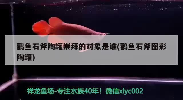 鸛魚石斧陶罐崇拜的對象是誰(鸛魚石斧圖彩陶罐)