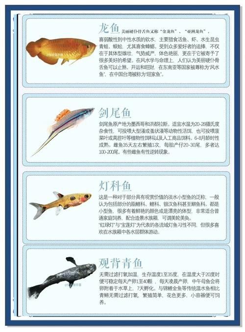 哪些因素會影響觀賞魚的價格
