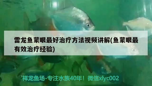 1米2寬50養金龍夠用嗎？