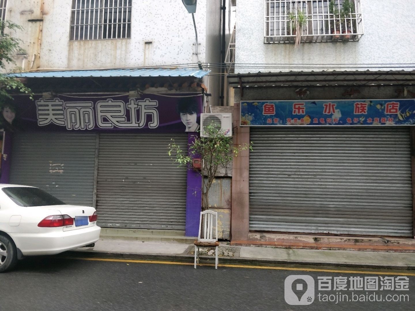 佛山哪個水族館龍魚好？祥龍魚場龍魚