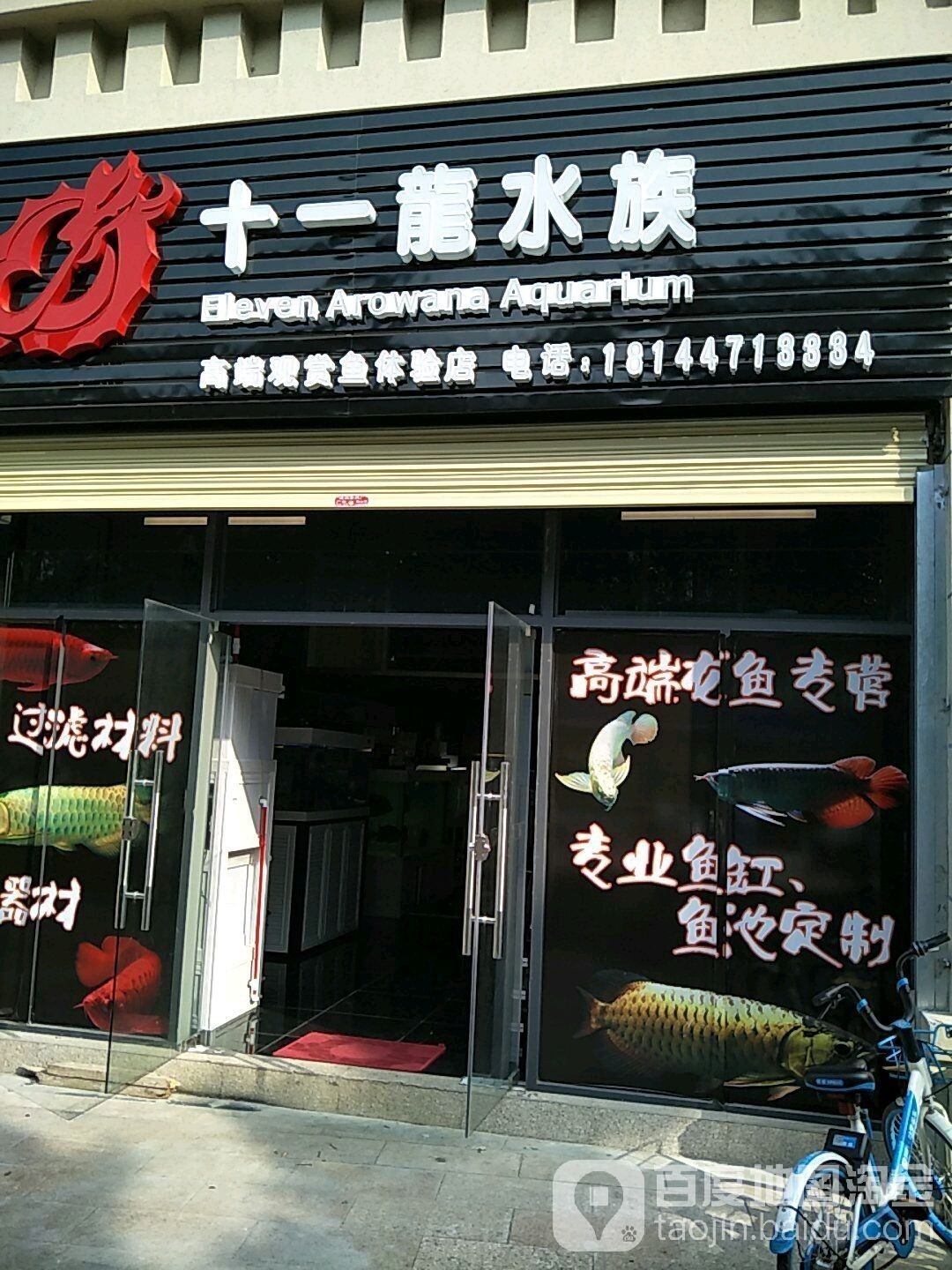 佛山哪個水族館龍魚好？祥龍魚場龍魚