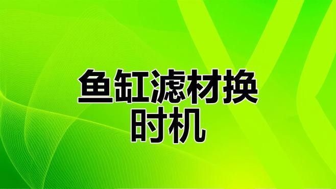 如何安裝和維護魚缸過濾器？（和維護魚缸過濾器是確保水質清潔和魚類健康關鍵步驟）