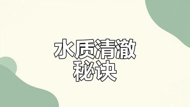 如何安裝和維護魚缸過濾器？（和維護魚缸過濾器是確保水質清潔和魚類健康關鍵步驟）