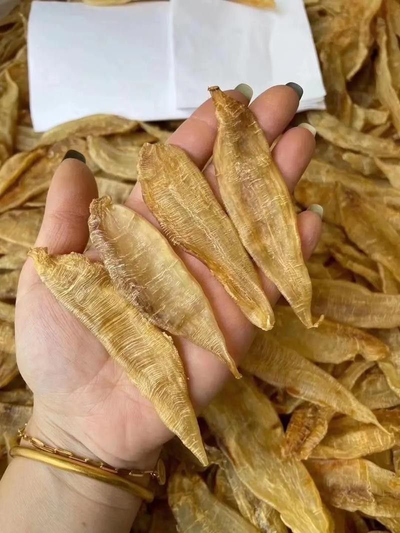 南美小金龍魚膠有哪些品牌推薦（南美小金龍魚膠十大品牌品牌品牌排名南美小金龍魚膠）