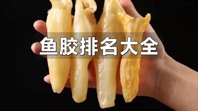 南美小金龍魚膠有哪些品牌推薦（南美小金龍魚膠十大品牌品牌品牌排名南美小金龍魚膠）